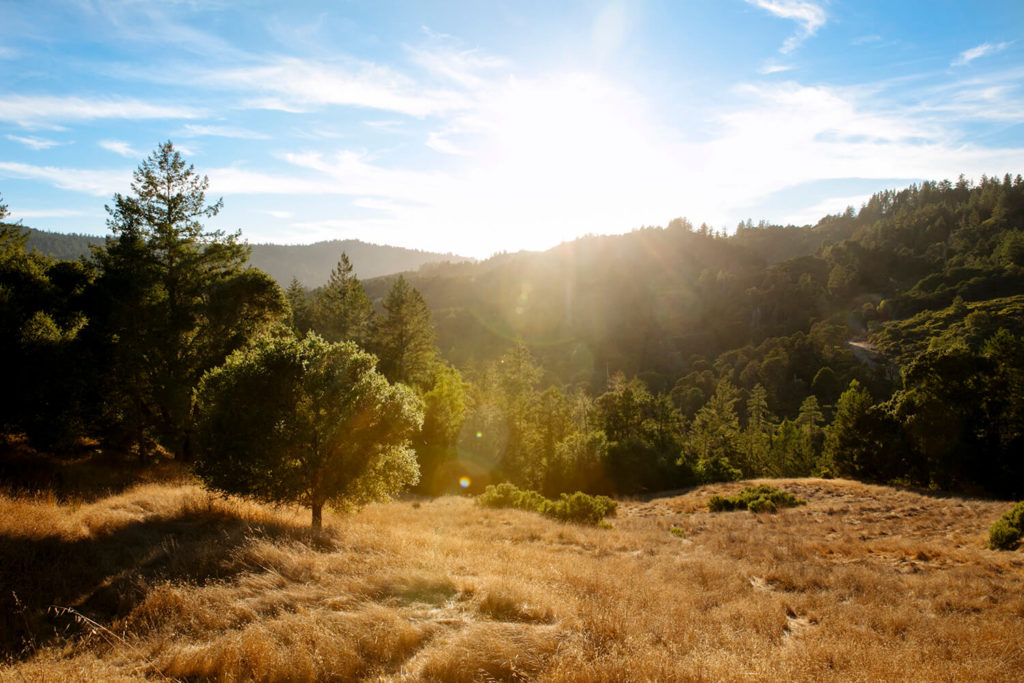 Staring into the sun, looking at Sonoma County hills and valleys