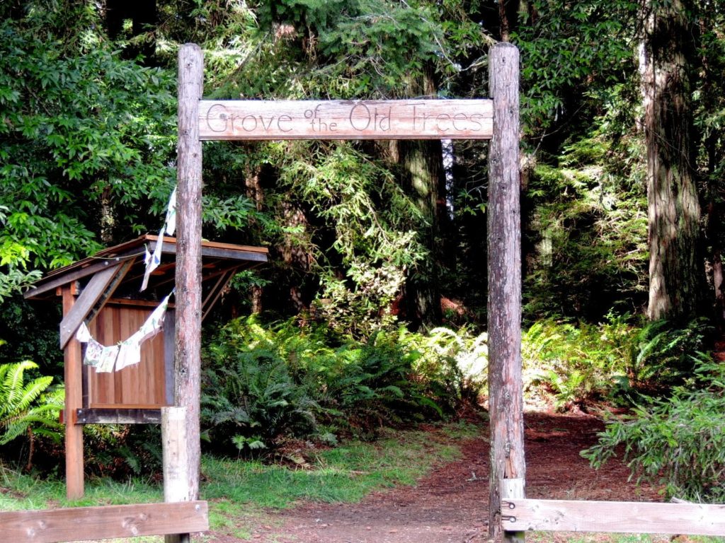 Entrance sign to Grove of Old Trees