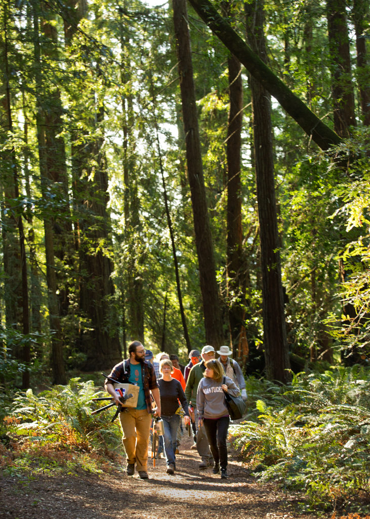 grove of old trees stewardship photo by John Burgess