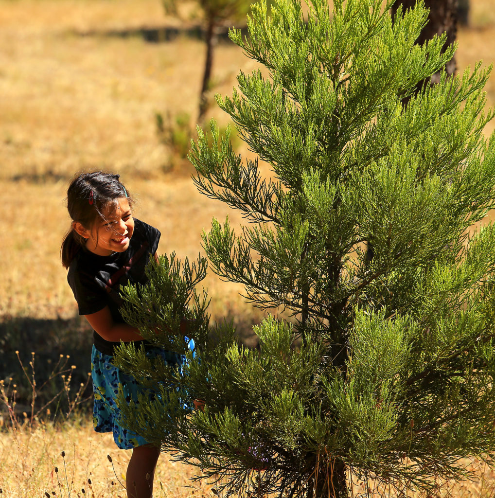 child having fun at owl camp