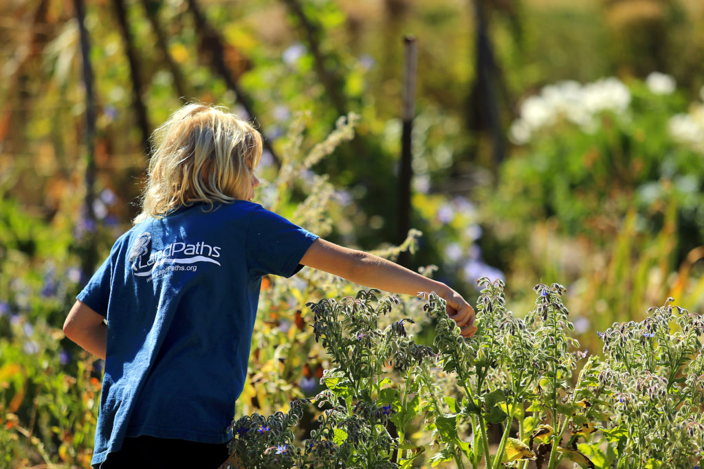 owl camp kid in garden