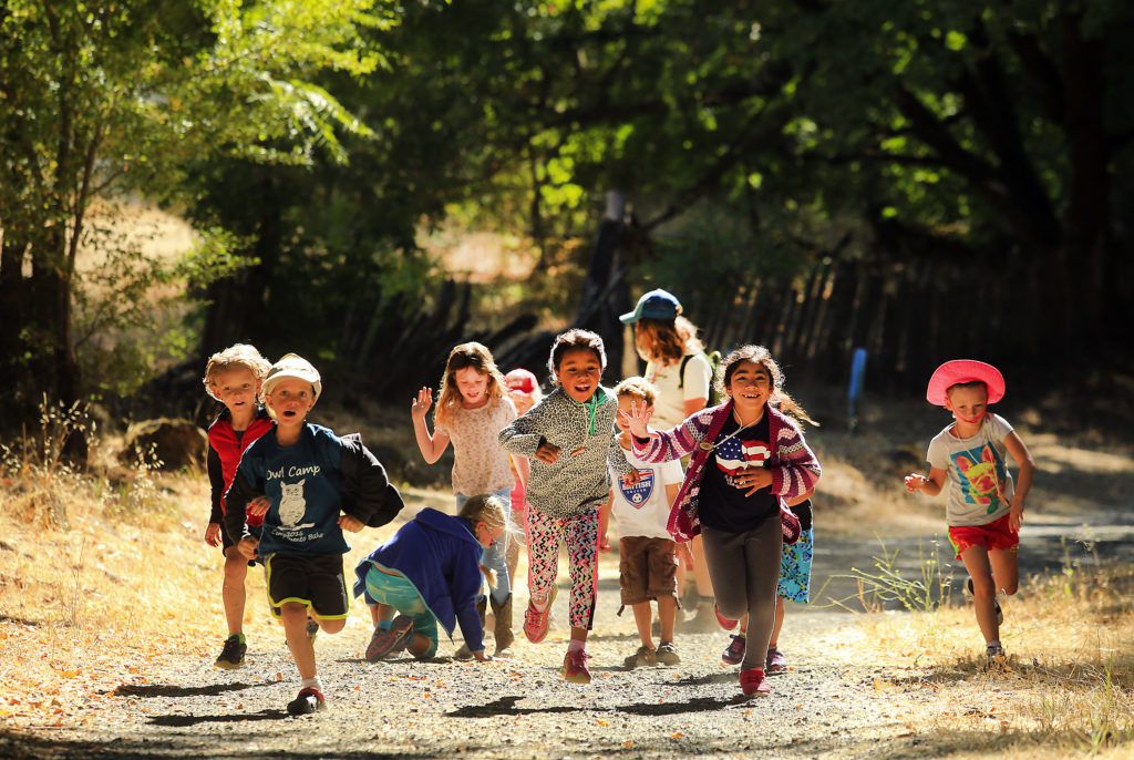 owl camp kids running