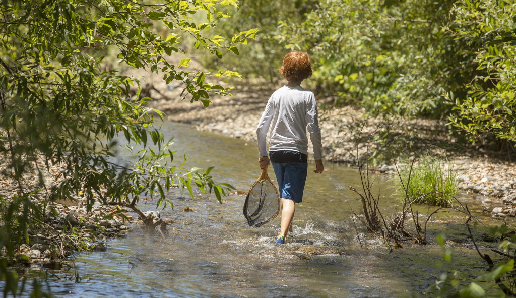 preston owl camp creek