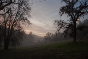 rancho mark west foggy barn scene