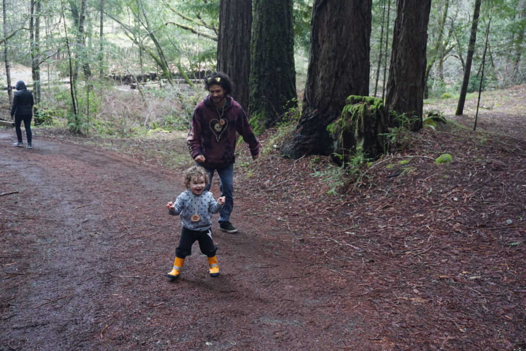 toddler runs in redwoods followed by father.