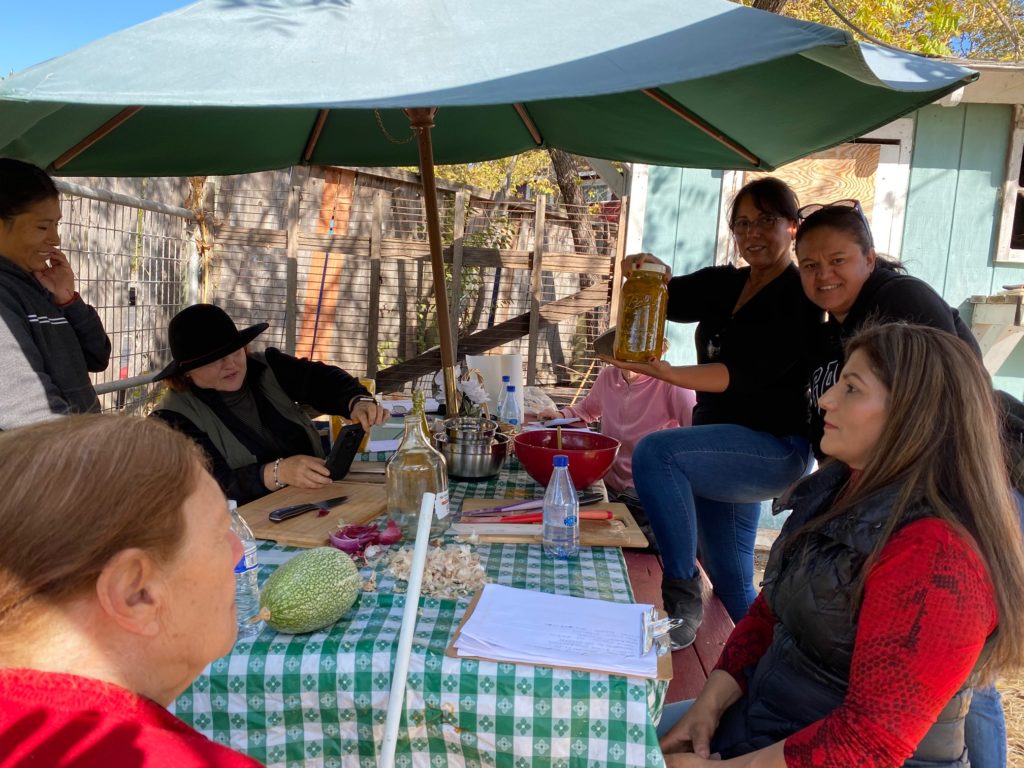 Farming for Health participants gather around a table to learn about herbs at Bayer Farm.