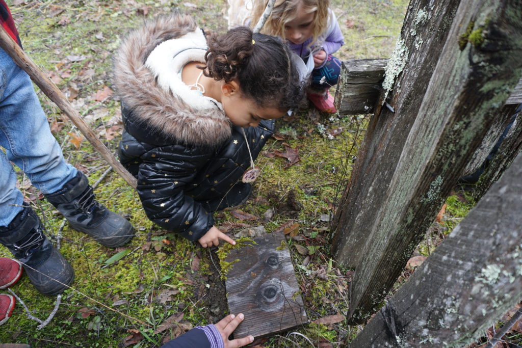 child in black coat examines moss at rancho mark west.