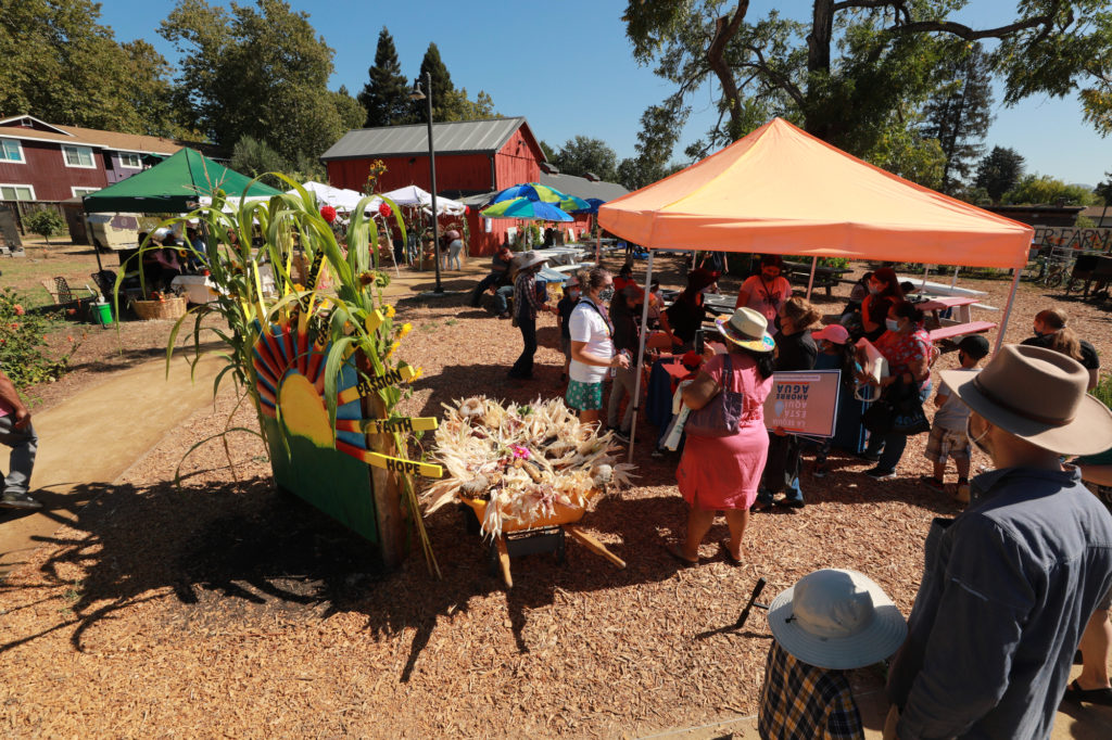 harvest festival at bayer farm