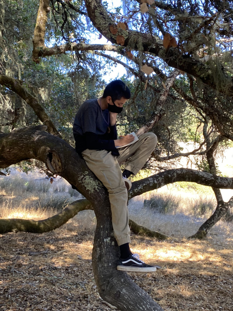 Roseland middle schooler in sit spot at Bohemia Ecological Preserve