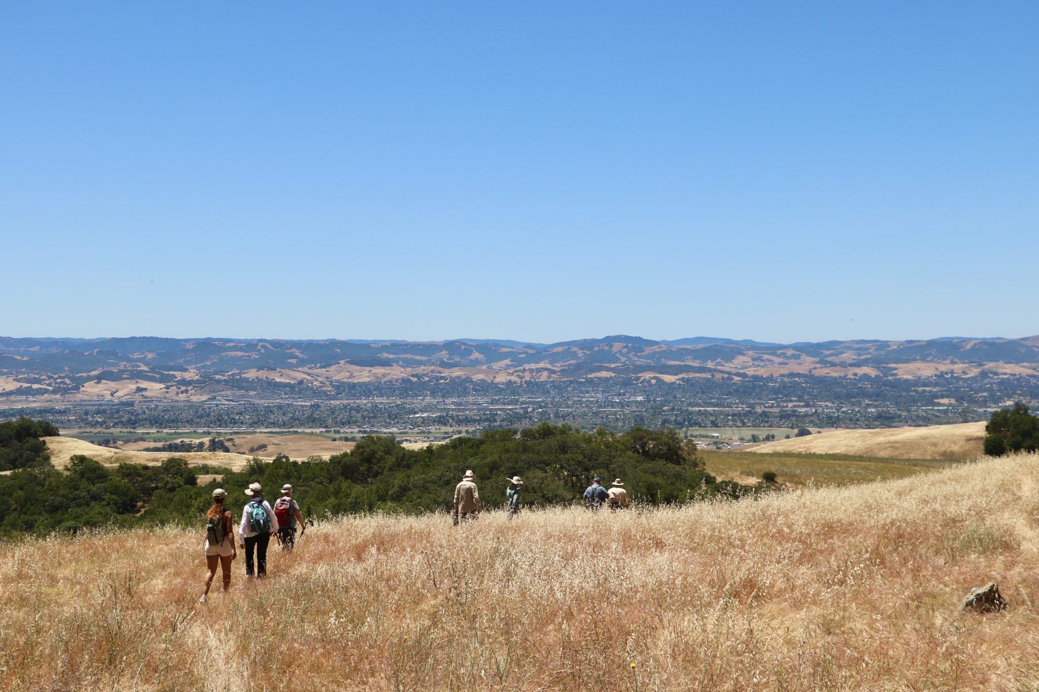 A group of hikers walks across Lafferty Ranch with a view of the Petaluma valley below and a wide blue sky above.