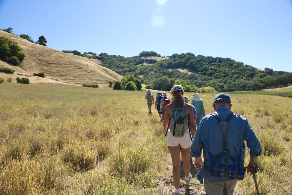 A group of people hikes across the grasslands of Lafferty Ranch under a blue sky.