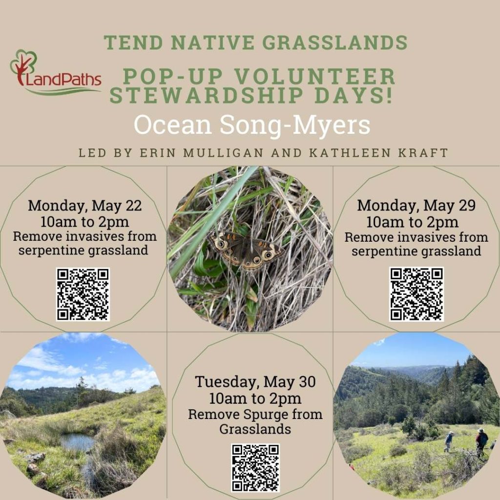 A flyer advertising opportunities to volunteer at Ocean Song Myers. These volunteer stewardship days are on May 22, May 29, and May 30. Photos of green grasslands at Ocean Song accompany the flyer.