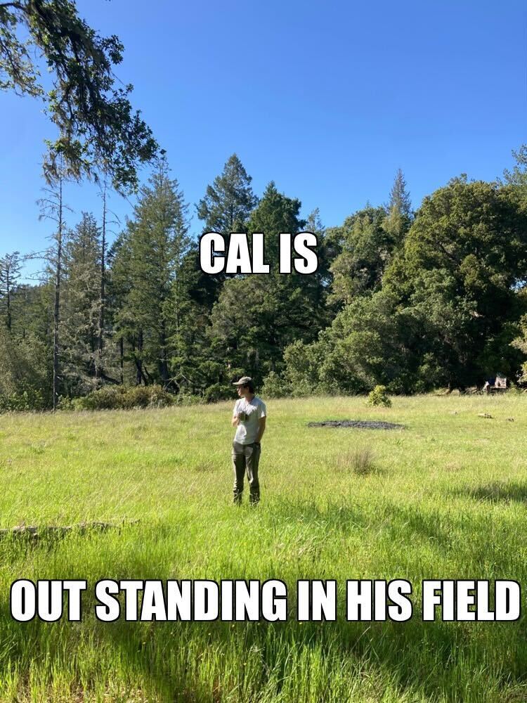 A meme - Calvin is standing in a wide field and the caption says, "Cal is Out Standing in His Field."