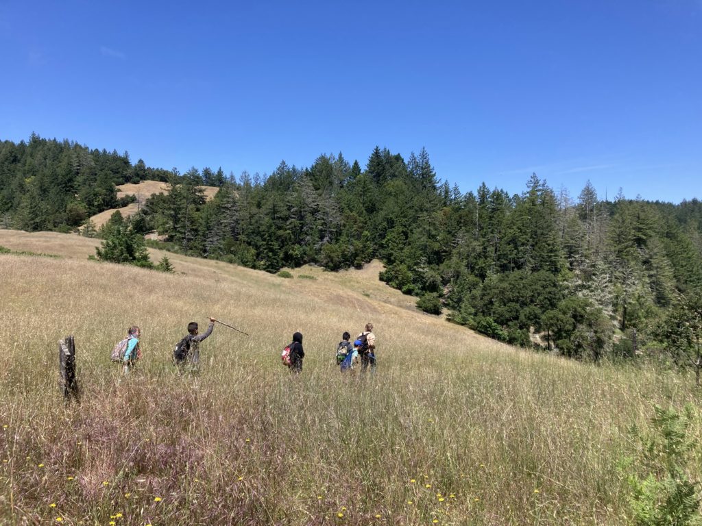 Six nature campers walk on a trail through the grasslands at Bohemia Ecological Preserve. There is a forest in the background and a blue sky above.