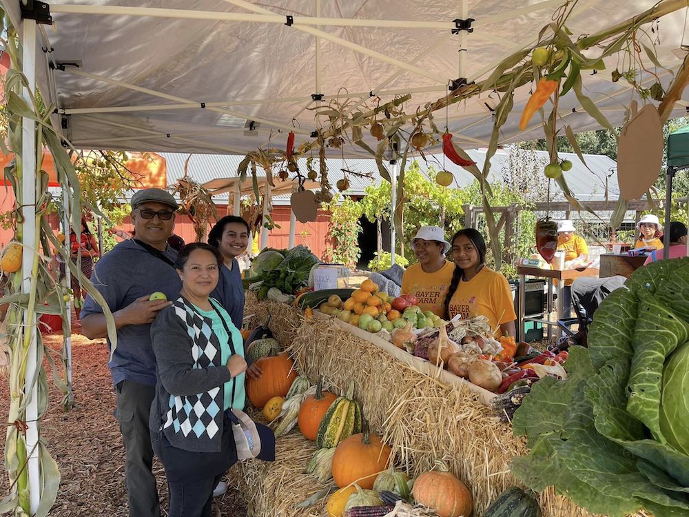 Free Harvest Festival at Slate Run – Pickerington Online