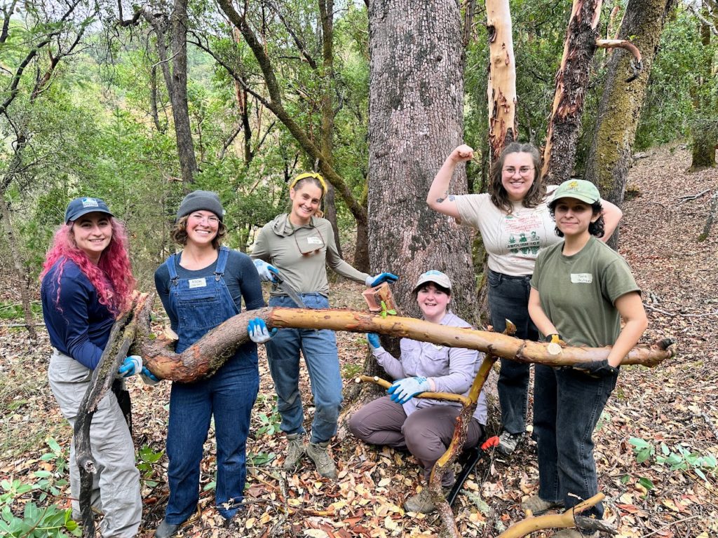 Six participants from the Slow Restoration Forestry Workshop stand in front of a tree that they have just thinned after learning how to do this skill during the workshop. 