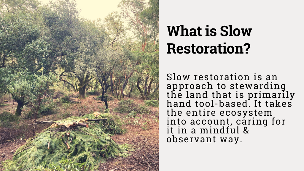 A poster that says: What is Slow Restoration? Slow restoration is an approach to stewarding the land that is primarily based in using hand tools. It takes the entire ecosystem into account, caring for it in a mindful and observant way. 