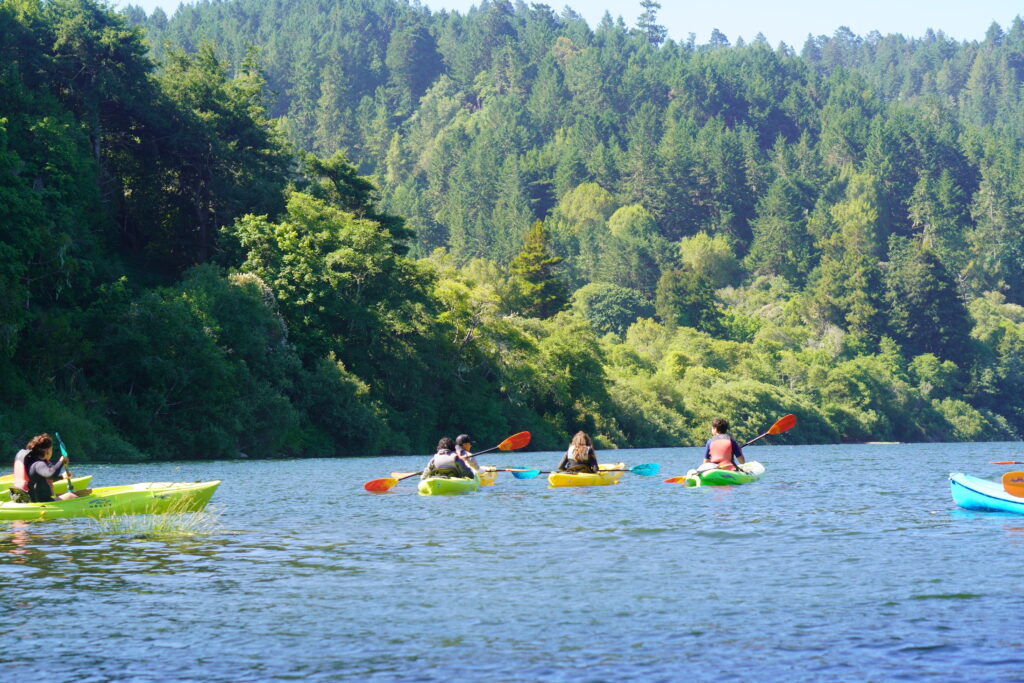 Teens kayak down the Russian River with trees in the background on a summer day.
