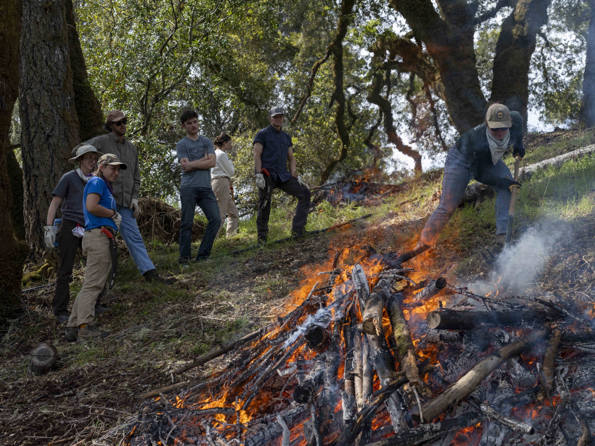 A community burn bile day with volunteers