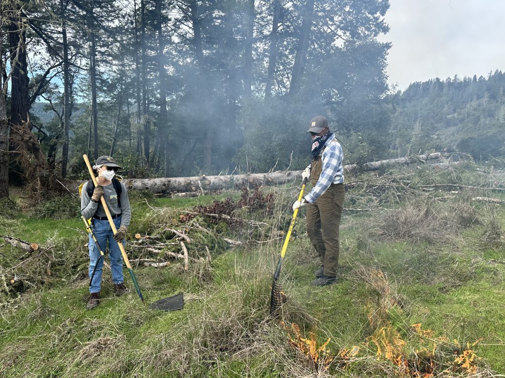 two people wearing n95 maps hold rakes and participate in a patch burn in a field of grasslands.